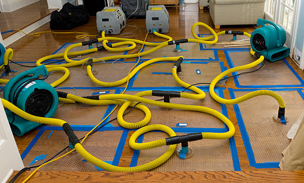 Professional Crawl Space Water Removal technician working in Rome, OH